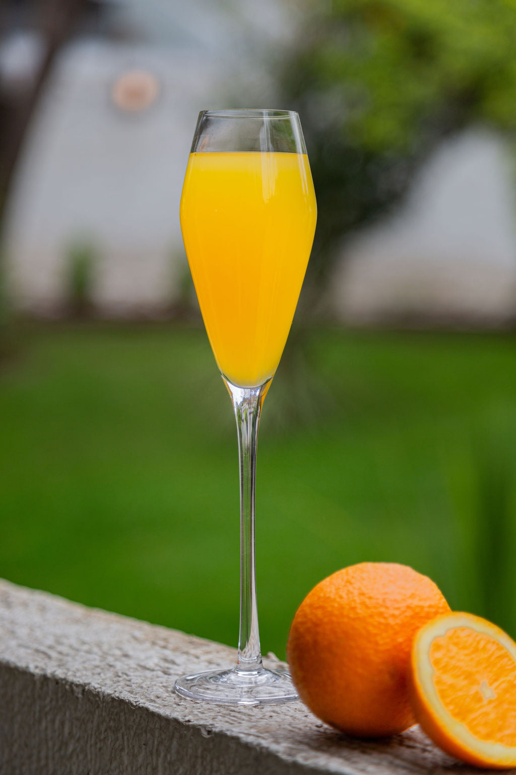 Copa Espumante Mimosa Melody set 4 copas
