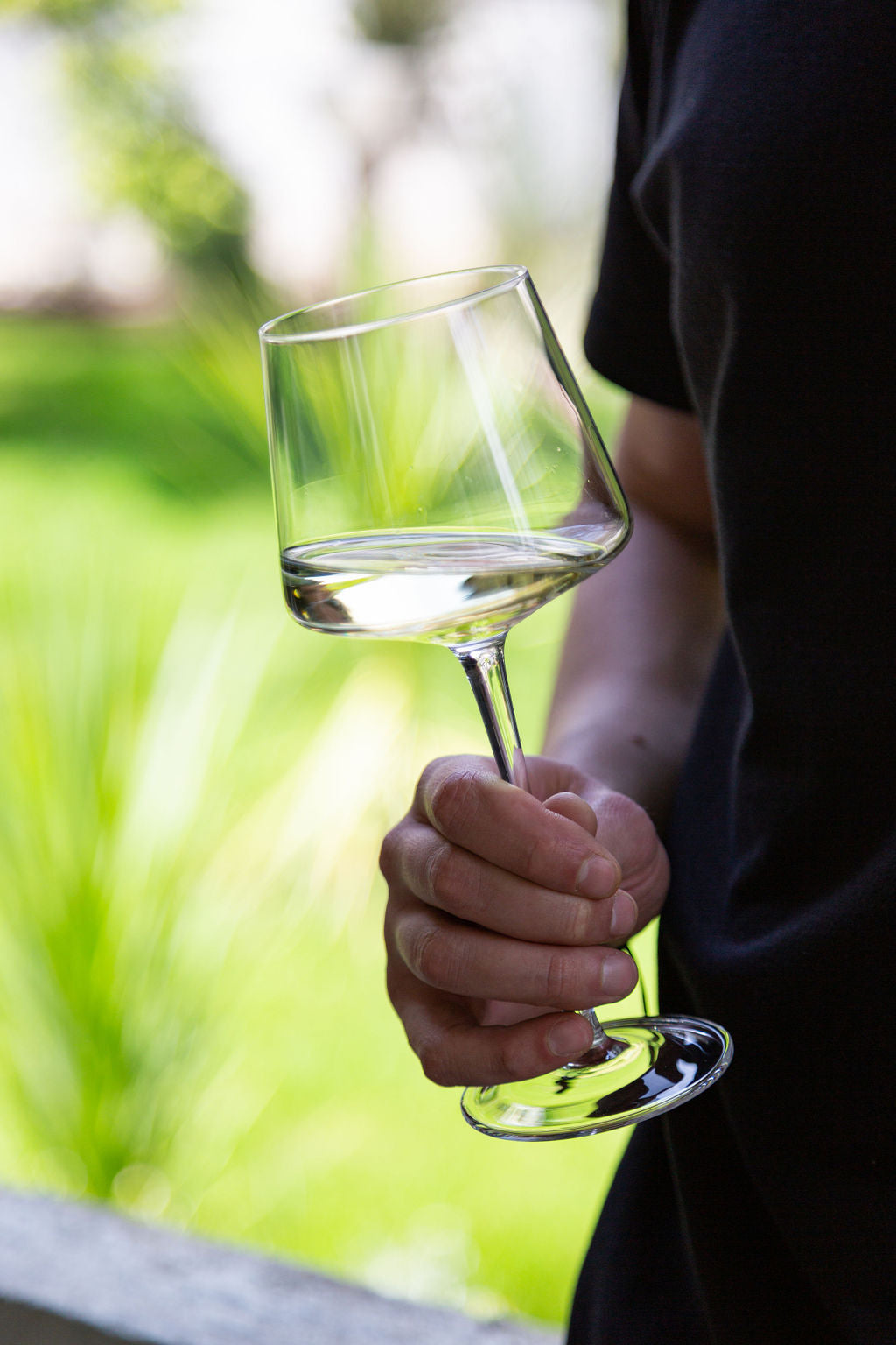 Copa  Vino Blanco Pinot Pleasure set de 4 copas